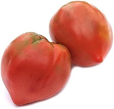 ActrovaX Old Fashioned Heritage Variety Tomato Very Fragrant [10gm Seeds] Seed(10 g)