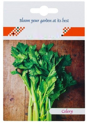 CYBEXIS Celery Hybrid Seeds2800 Seeds Seed(2800 per packet)