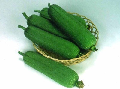 Avysa Sponge Gourd: CYLINDER Seed(1000 per packet)