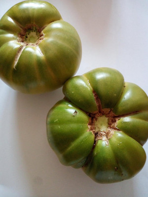 Biosnyg Disease-Resistant Tomato Aunt Ruby Seeds For Kitchen Gardening - (1000 Seeds) Seed(1000 per packet)