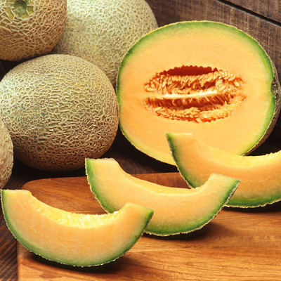 KNESSiN Cantaloupe Musk Melon Seed(1250 per packet)