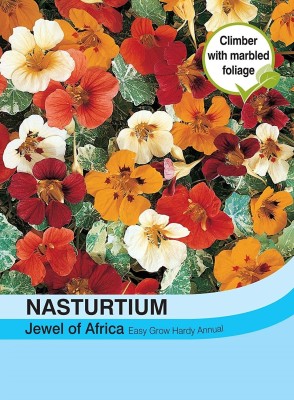 CYBEXIS Flowers - Nasturtium Jewel of Africa Seed(1 g)