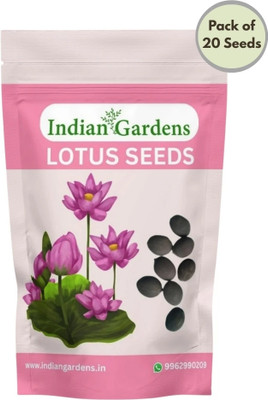 indian gardens Lotus Seeds Pack of 20 High-Germination Lotus Seeds for Planting in Water Seed(20 per packet)