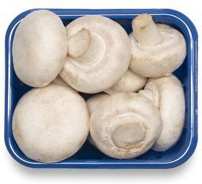 Mozette Organic mushroom herb Seed(10 per packet)
