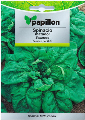 KNESSiN Early Spinach Seed(500 per packet)