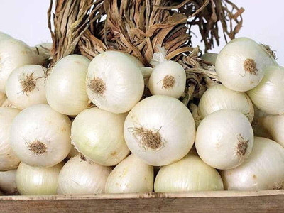 KANAYA Onion White Kanda Vegetable Seed(255 per packet)