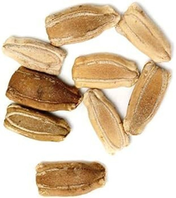 BDSresolve Original Bottle gourd seeds/Bottle gourd seeds 12 Seed(12 per packet)