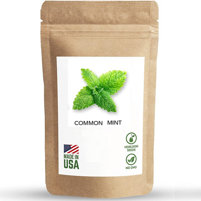 Biosnyg Pudina/Common Mint-[1000 Seeds] Seed(1000 per packet)