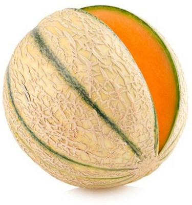 PLUSGREEN Charentais Melon/Musk Melon Seed(60 per packet)
