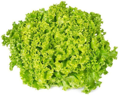 Aywal Lettuce Salad Iceberg Seed(200 per packet)