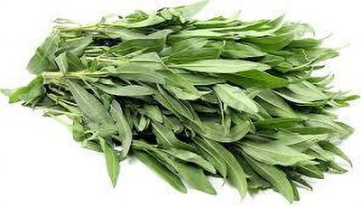 XOLDA Organic terragon herb Seed(29 per packet)