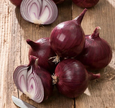 WATIKA Dark Red Onion Seed(2000 per packet)