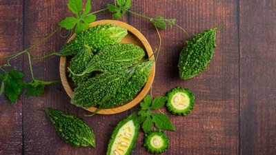 XOLDAA F1 BEST QUALITY BITTER GOURD SEEDS Seed(10 per packet)