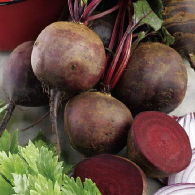 KNESSiN VXI-18 Beetroot Boltardy Seed(500 per packet)