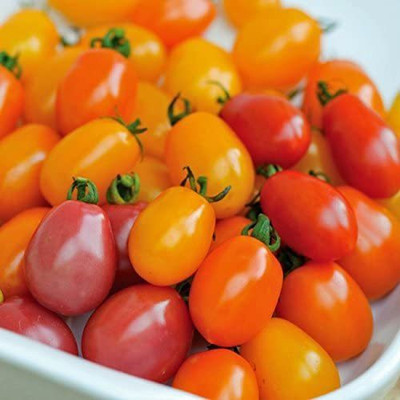 CYBEXIS Organic Tomato Rainbow Mix Seeds2000 Seeds Seed(2000 per packet)