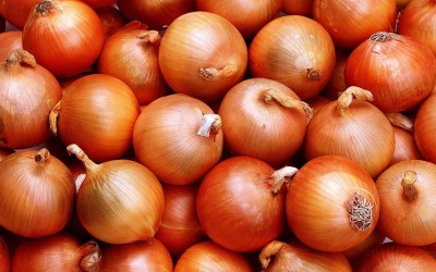 CRGO ONION , PYAAZ Seed(25 per packet)