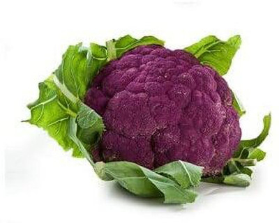 syngenta Cauliflower Seed(2500 per packet)