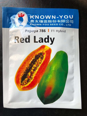 the green dotcom Red Lady 786 Papaya 786 Taiwan Seeds F1 Hybrid Seed Seed(140 per packet)