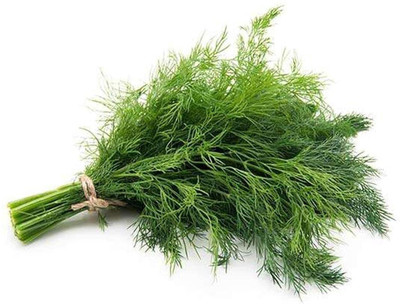 CYBEXIS Vegetable Dil Se Soya Saag (सोया साग) For Home and Gardning Winter(2000 Seeds) Seed(2000 per packet)