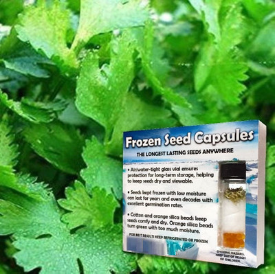 KNESSiN Herb Seed(500 per packet)
