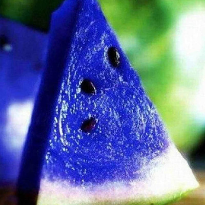 WILLVINE Fruit Mixed Color Watermelon Seed -[50 Seeds] Seed(50 per packet)
