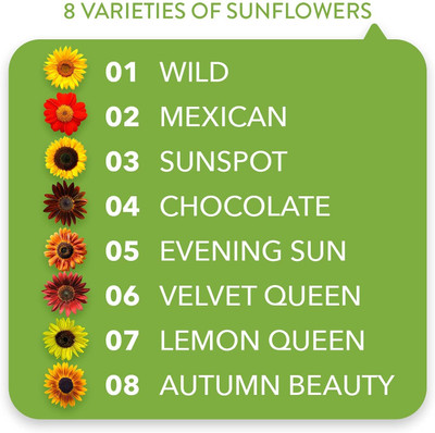 Qualtivate ICRA-7A Sunflower 8 Collection Seed(200 per packet)