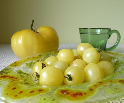 Biosnyg Disease-Resistant White Cherry Tomato Summer Seeds For Planting - (2000 Seeds) Seed(2000 per packet)