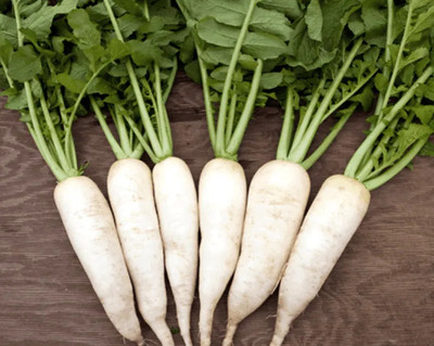 DEYS AGRO ™ white radish seeds,f1 hybrid muli seeds,summer vegetable Seed(78 per packet)