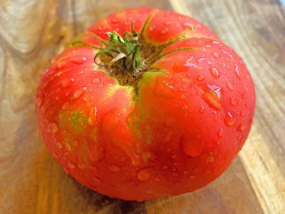 CYBEXIS Brandywine Tomatoes2000 Seeds Seed(2000 per packet)