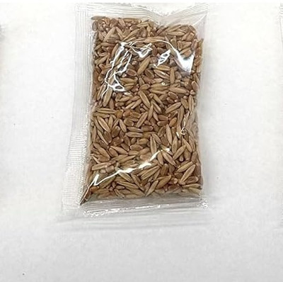 Biosnyg Fast Growing Hard Red Wheatgrass Seeds for Indoor Growing-(5000 Seeds) Seed(5000 per packet)