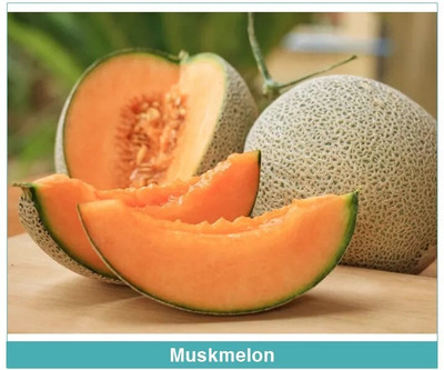 Cloud Farm Muskmelon Sweet Melon Seed(100 per packet)