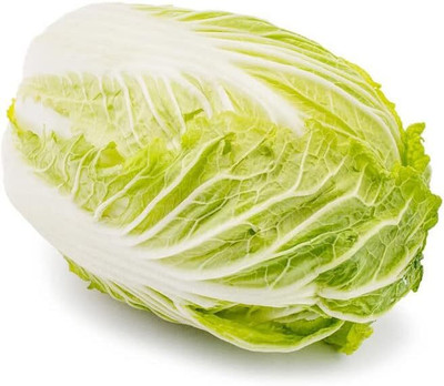 WILLVINE MEH -VII Chinese Michihli-Heading Cabbage [5g] Seed(1500 per packet)