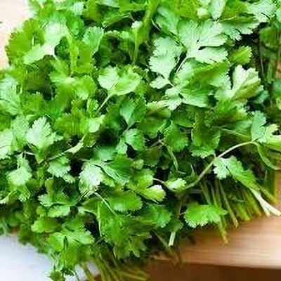 LPR Coriander,KHIRA Seed(200 per packet)