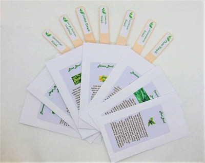 WILLVINE Basil Lovers Seed Collection -7 of Our Most Tasty Basil Seeds-[2000 Seeds] Seed(2000 per packet)