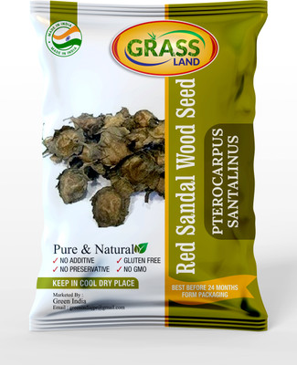 grassland Red Sandalwood Seeds 100 G Pterocarpus Santalinus Lal Chandan Raktachandan Seed Seed(100 g)