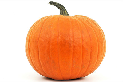 Qualtivate RES-5A Giant Pumpkin for Planting Seed(50 per packet)