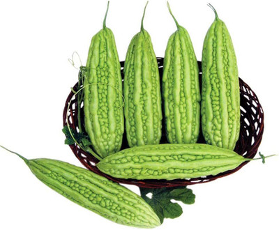 VibeX GBPUT-61 - Bitter Melon - (100 Seeds) Seed(100 per packet)