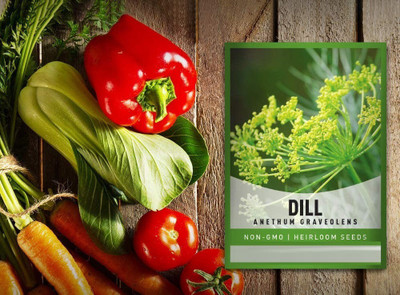 CYBEXIS GBPUT-78 - Dill Alligator Giant - (750 Seeds) Seed(750 per packet)