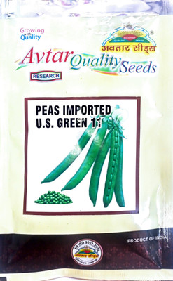 KRASHAK Pea -Matar Seed(2 per packet)