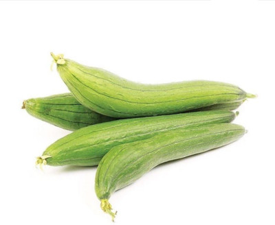 Quentova SPONGE GOURD - TORI-DXL-6U Seed(50 per packet)