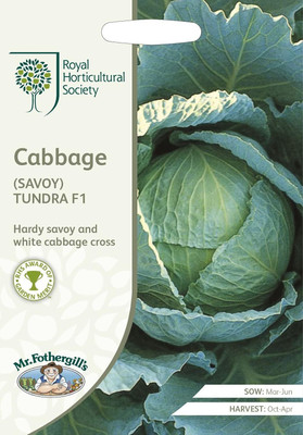 KNESSiN Cabbage Savoy Tundra Seed(200 per packet)
