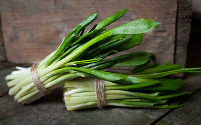 Biosnyg Organic Ramsons Wild Garlic Seeds for Terrace Gardening-(500 Seeds) Seed(500 per packet)