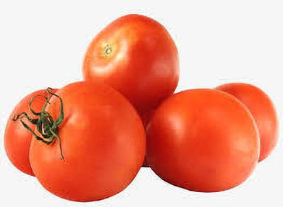 XOLDAA kashmiri hybrid tomato seeds Seed(70 per packet)
