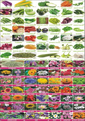 FLARE SEEDS 90 Variety of Vegetable and Flower Seeds Combo Gardening Pack Seed(90 per packet)