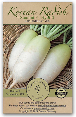 CYBEXIS GBPUT-27 - Daikon Radish -Summit F1 Hybrid -Korean Type - (2250 Seeds) Seed(2250 per packet)