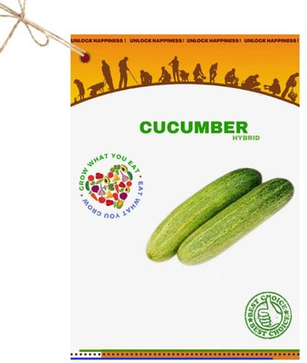 Qualtivate HYB-4A Green Cucumber Hybrid Seeds Seed(300 per packet)
