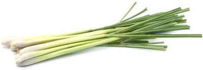 VibeX ® XLR-159 Lemon Grass Plant Repels Mosquitoes Seed(500 per packet)