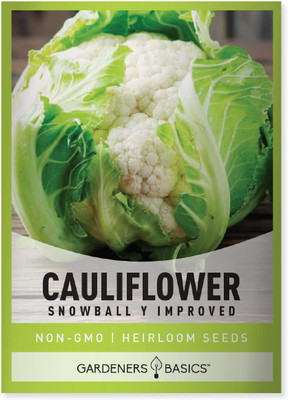 WILLVINE SCI -XII Non GMO Snowball Y Cauliflower Seed[2.5g, 750 Seeds] Seed(750 per packet)