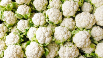 Qualtivate RES-9A ORGANIC F1 HYBRID CAULIFLOWER SEEDS Seed(300 per packet)