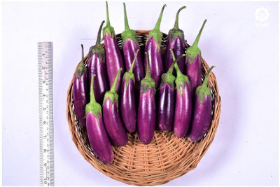 LPR brinjal Seed(10 per packet)